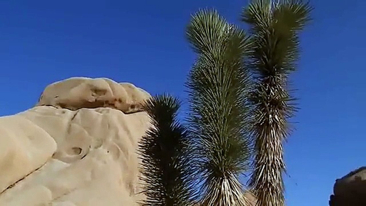 Beautiful Joshua Tree National Park, California (USA), a tour
