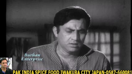 APNO NE DIYE GHAM TO-MEHNDI HUSSANーHD ハラルスパイス岩倉市ジャパン