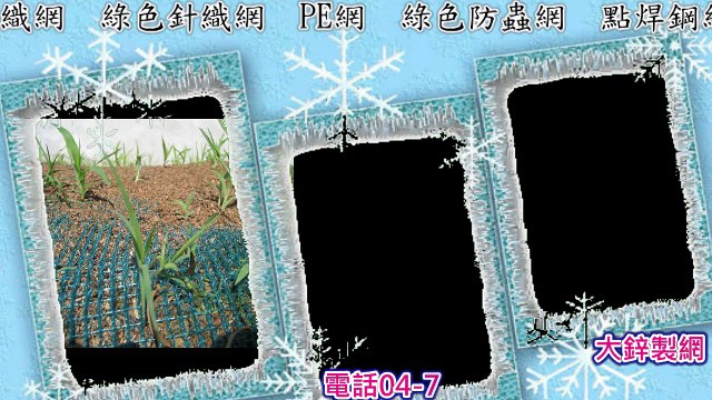 大鋅製網 洽詢電話:04-7240760 galvanisé diamant prix de maille, le filet de serpent, contre net, filets de pratique au bâton