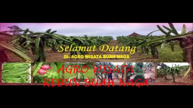 0813 7204 6788 (TELKOMSEL),paket tour di batam,MUTIARA BATAM TOUR AND TRAVEL