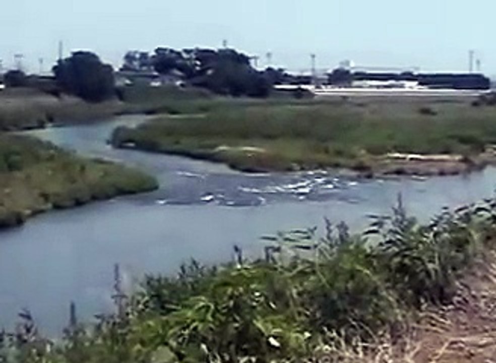 Japanese cycling paths (Gunma-ken)