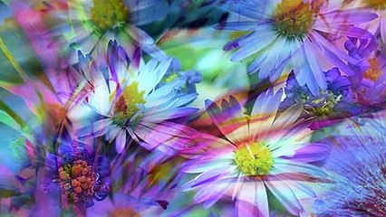 Un fiore nel deserto