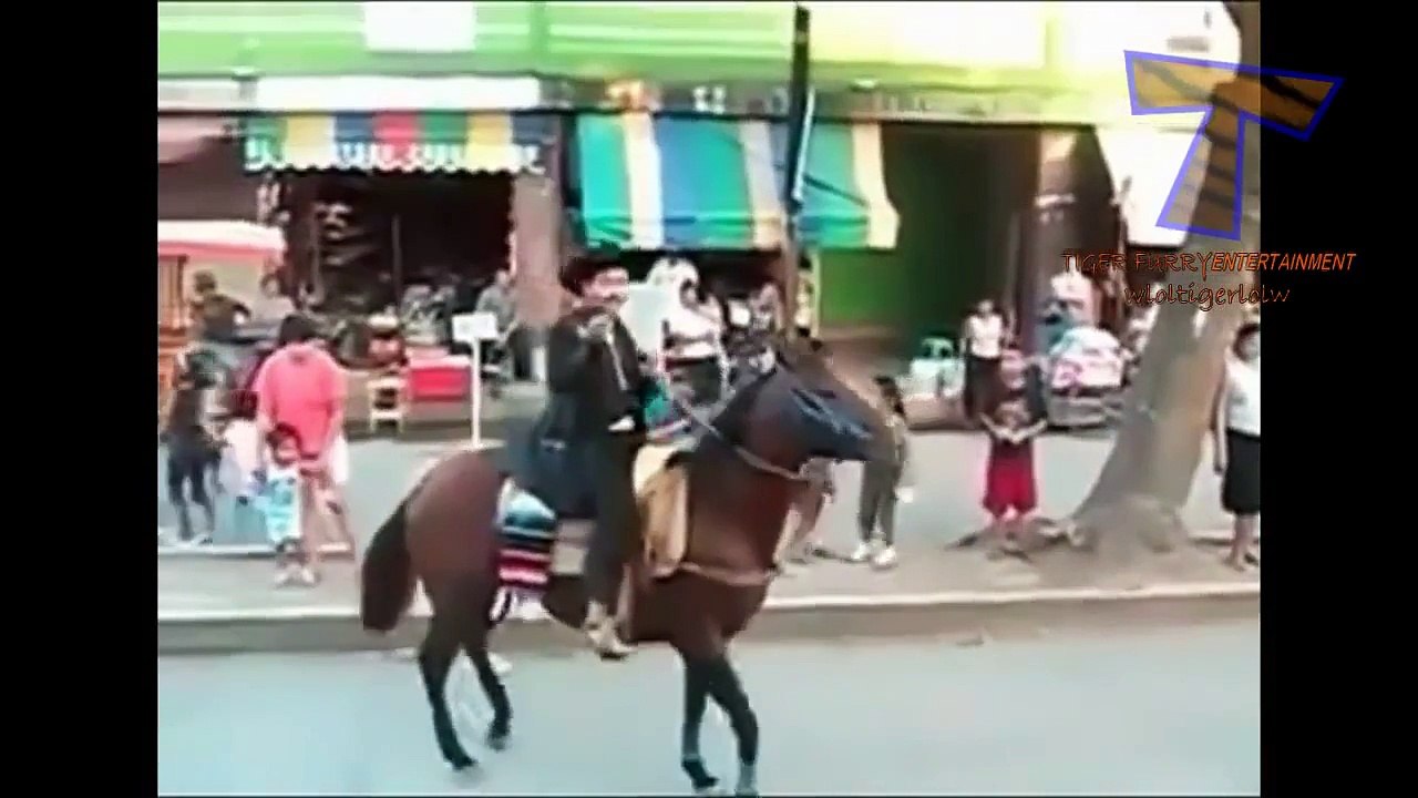Best and funniest horse fails and videos compilation | horses compilation