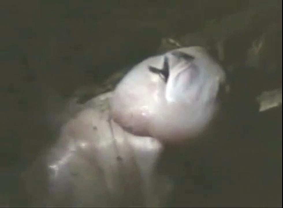 Real Alien Filmed
