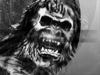 Unsolved mystery creatures and events