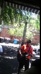 Camping dogs gimme the power ensayo