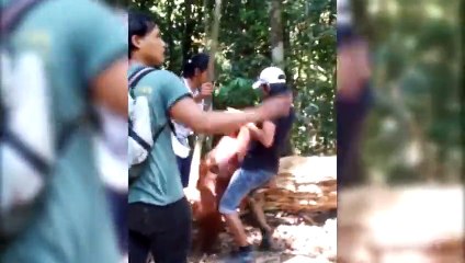 When Animals Attack Compilation Part 2 by FailArmy