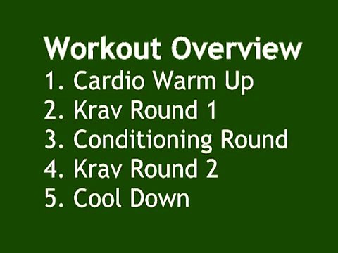 The Krav Maga Workout - 25 Minute Complete Cardio Workout