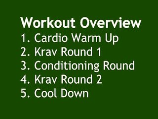 The Krav Maga Workout - 25 Minute Complete Cardio Workout