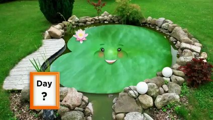 Zihin Oyunları: Kullan ya da Kaybet