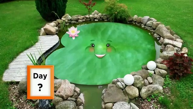 Zihin Oyunları: Kullan ya da Kaybet