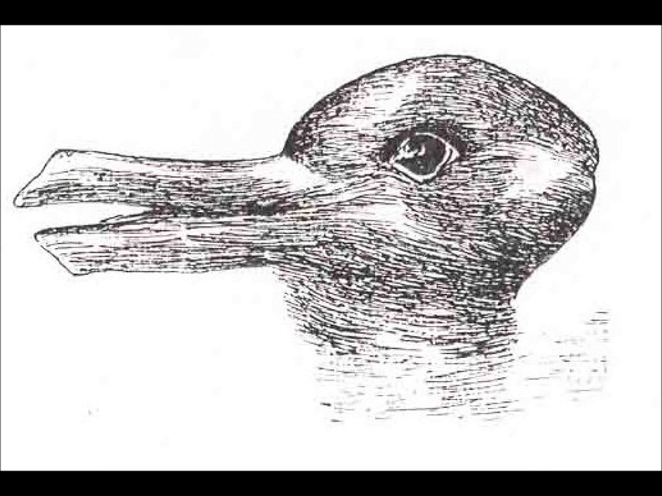 Atencao e Percepcao. Disciplina analise do comportamento