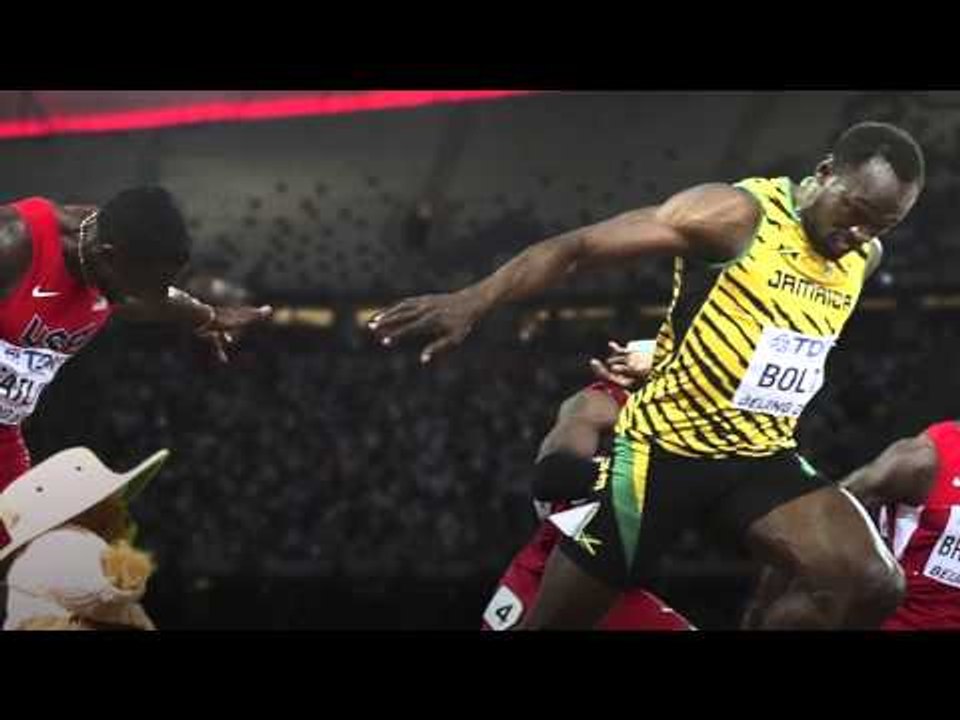 Umpire Ted - fast and furred as he takes on Usain Bolt, Justin Gatlin and the rest...