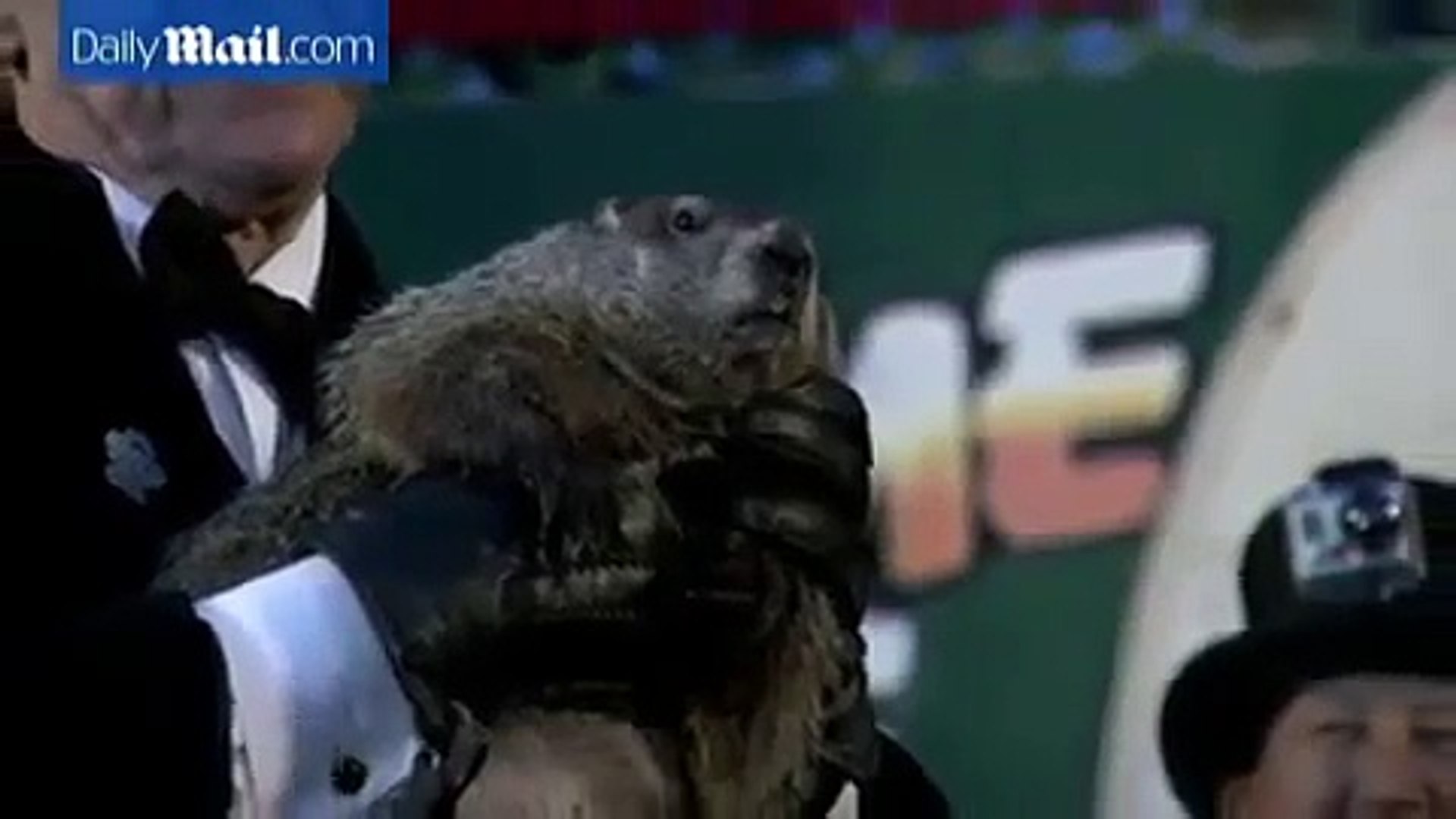 So how long will winter last when the Groundhog ATTACKS the mayor?