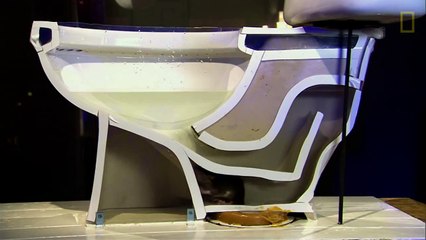 Farenin bunu nasıl başardığına şaşıracaksınız