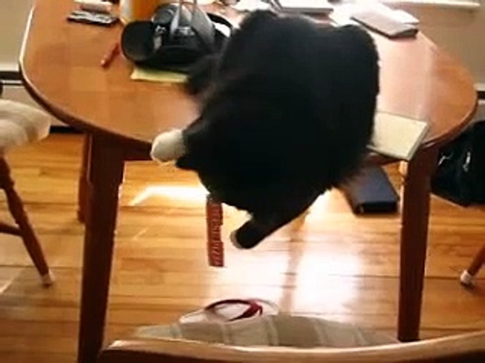 under the table curiousity