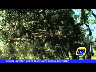 FOGGIA | Mistero morte bracciante, nessun riscontro
