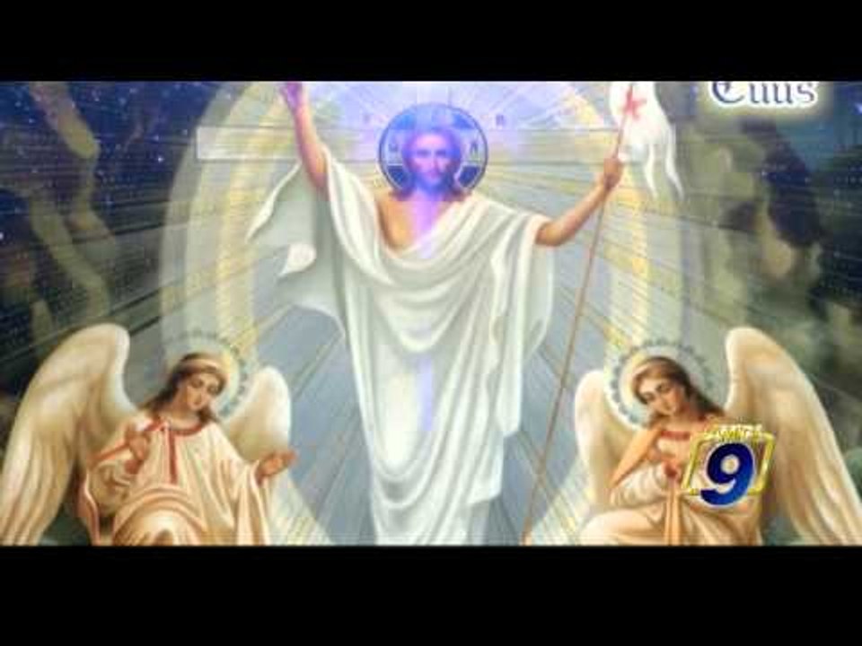 TOTUS TUUS | Papa Francesco - Laudato sì - Lettera Enciclica (14 agosto)