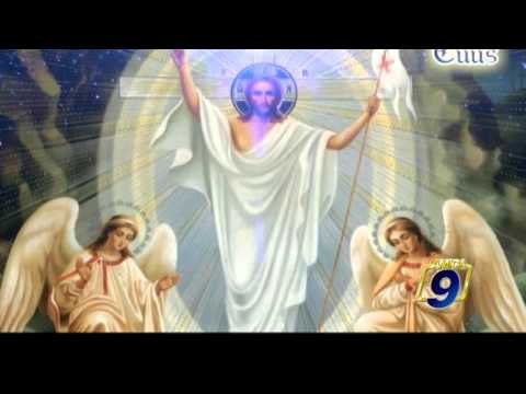 TOTUS TUUS | Papa Francesco - Laudato sì - Lettera Enciclica (20 agosto)