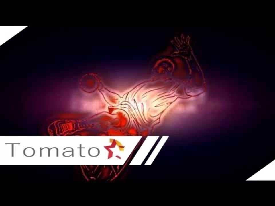 Vardar TV Intro