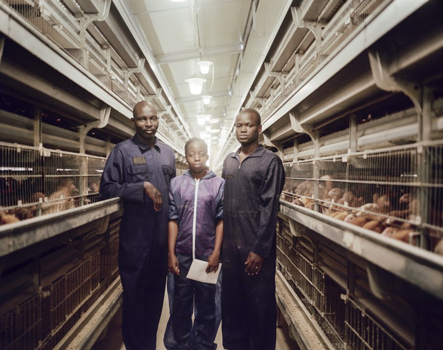 Les Grands Moyens (4/5) : au Bénin, la success story d'Agrisatch, le roi de la volaille