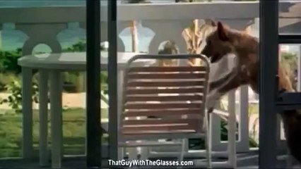 Nostalgia Critic - Zeus and Roxanne