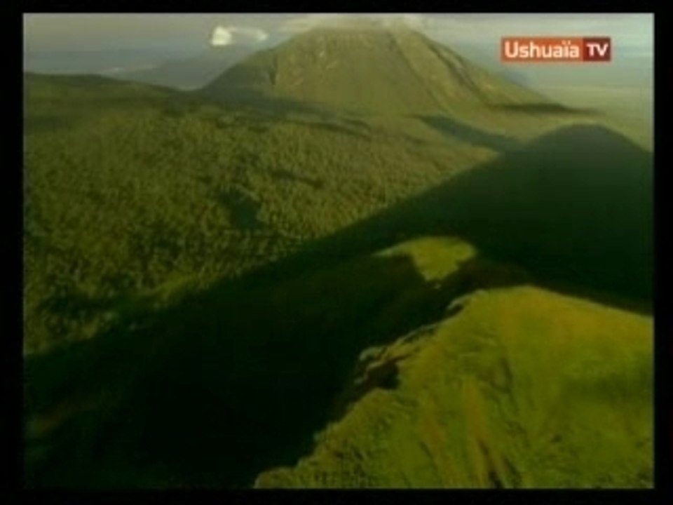 Les Virunga