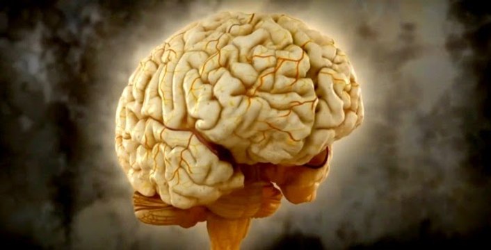 Zihin Oyunları: Yalancı