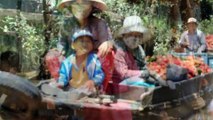 mekong delta tour 2 day 1 night - DELUXE GROUP TOUR