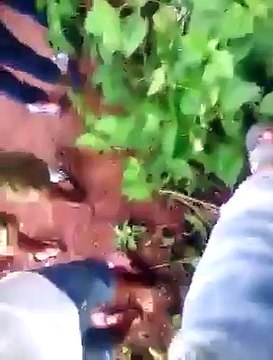 ایسا زبردست چشمہ آپ نے پہلے نہیں دیکھا ہوگا