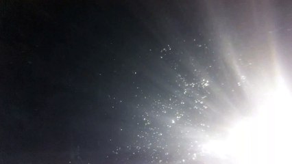 été  2015 Vendée  petit coucou