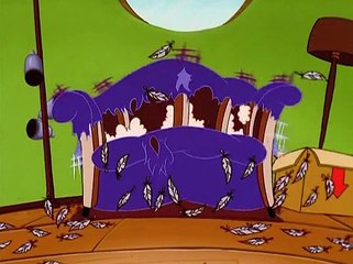 El pajaro loco -  Poniendose comodo