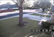 Bike Thief Gets Caught and Tackled By Owner
