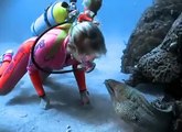 cute friendly fish