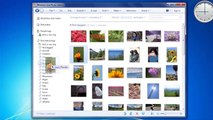 Organizing your photos with Windows Live Photo Gallery