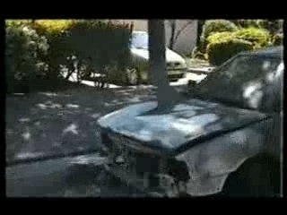 PROTOTYPE - CICATRICES