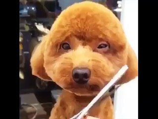 Oh my god that tenderness