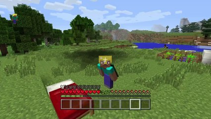 Dragon Ball Z Mod (Dragon Block C) Ps4 Ep 4 "Namek Here We Come"