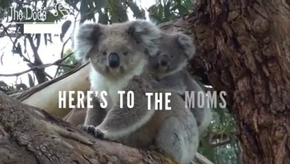 This One Goes Out To ALL The Moms Out There