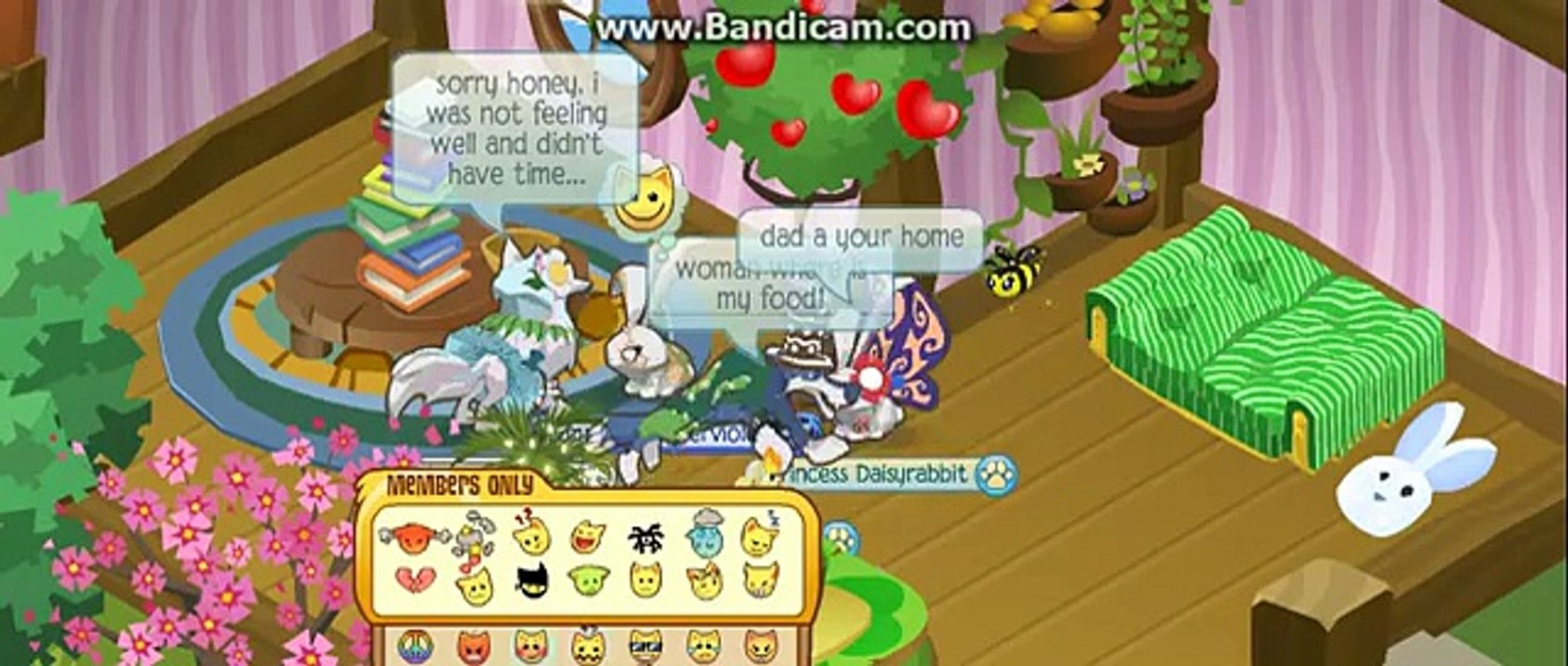 Animal jam:Sad story