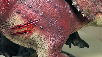 #10: Sideshow Dinosaur T Rex vs Triceratops Part 1