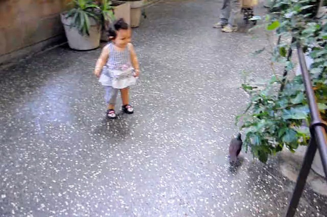 2015-08-LA_14mois_zoo_bale