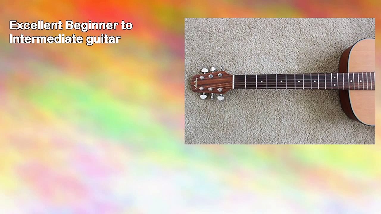 Walden Acoustic Guitars Walden Guitars G570 Natura Series Acoustic Guitar