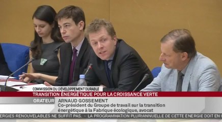 Auditions de think tanks sur la transition énergétique - Audition
