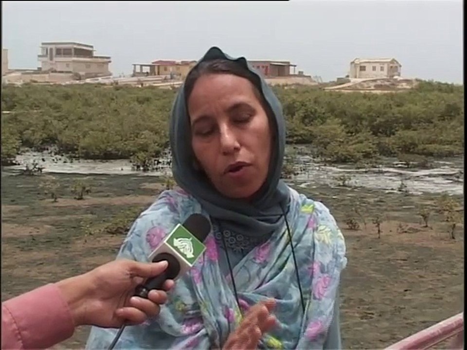 Shabbir Ibne Adil, PTV, News Report: Oceans day (2004)