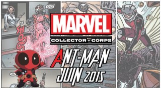 [Marvel-Collector-Corps] Juin 2015 - Ant-Man