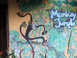 Zip Line Canopy Tour Monkey Jungle Tamarindo, Guanacaste, Costa Rica.mp4