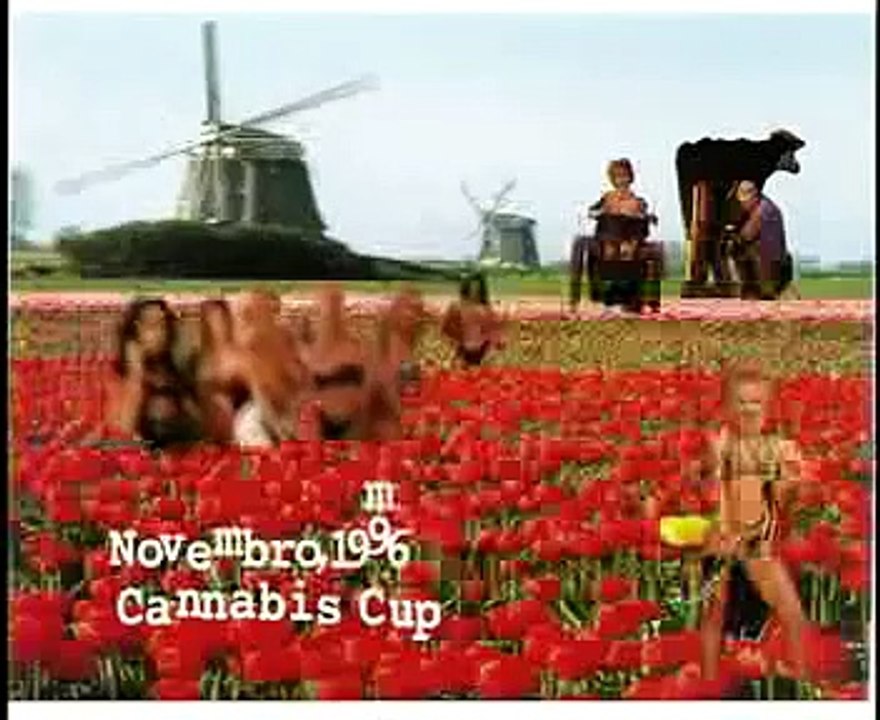 planet hemp - adoled