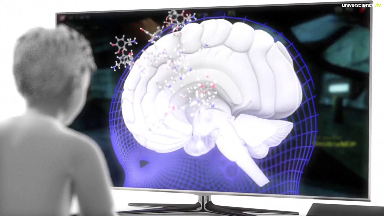 Le cerveau des enfants du numérique