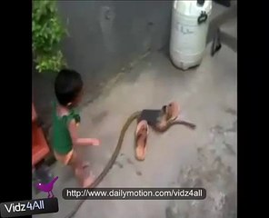 Wow amazing baby playing with snake must watch vidz4all